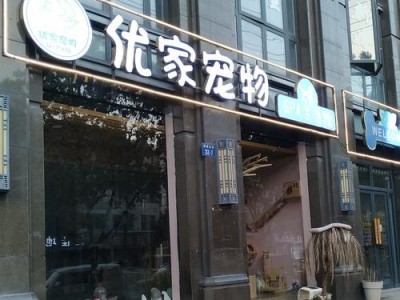 宠物店的服务大揭秘（了解宠物店服务的种类与特点）