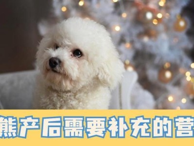 狗产后热的症状、原因及预防措施（了解狗产后热的症状和原因，保护狗妈妈的健康）