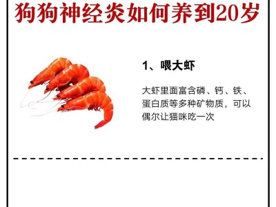 快1岁的狗应该吃什么？（为您的宠物提供适合其发育阶段的营养）