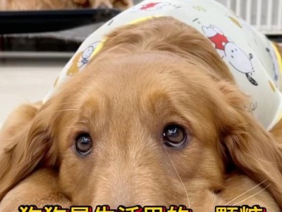 狗狗能否吃糖？（解析狗狗是否能消化糖类食物）