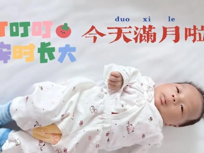 爱护宠物，做个负责任的主人（以斑点狗小伤无关大碍为例，探讨宠物健康与保护）