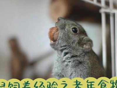 黄山松鼠的主要食物来源及习性（探索黄山松鼠的饮食习惯和生态环境）
