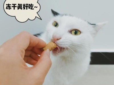 猫咪肉垫发热处理方法（用8个小技巧让猫咪的肉垫恢复正常）