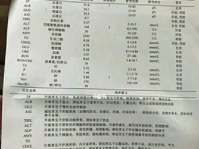 宠物生化检查（揭秘宠物生化检查的关键信息，助力宠物健康）