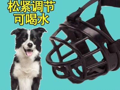 边境牧羊犬为什么老是舔嘴唇？（揭秘舔嘴唇的7种原因，让你更了解宠物）