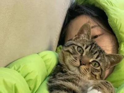 猫喜欢跟人睡的原因（解密猫咪与人类共享睡眠的奥秘）