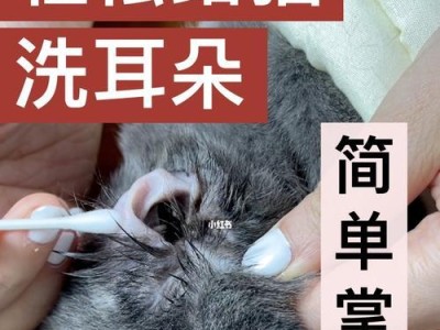 如何清洗猫咪耳朵附近脏掉的毛（清洁宠物毛发的正确方法）