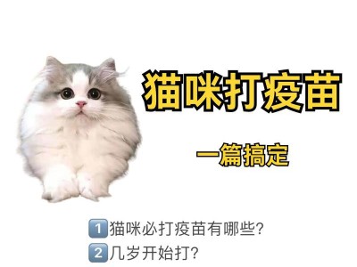 小猫打疫苗的注意事项（宠物猫健康保护必知）