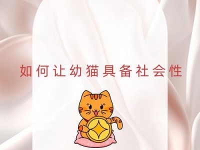 小猫咪断奶时间及注意事项（了解小猫咪的断奶阶段和喂养技巧，让它们健康成长）