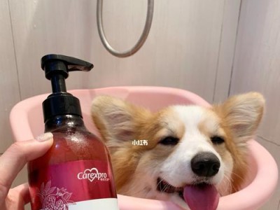 选择适合狗狗的沐浴露，让宠物洗澡更健康（自己给狗狗洗澡需要注意什么？选择沐浴露的4个关键点）