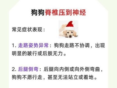 狗狗神经疼痛（揭秘狗狗神经疼痛康复的关键因素及时长）
