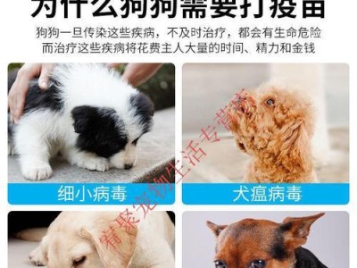 犬瘟为何成为小狗的噩梦？（从小狗喜欢得细小说起，探究犬瘟病毒对小狗的危害）