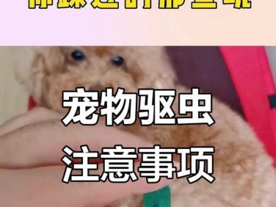 幼犬驱虫后多久可以洗澡？（洗澡对幼犬健康的影响及最佳时间选择）