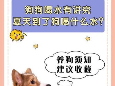 一个月大的小狗的饮食需求（了解小狗的喂养习惯，健康成长）