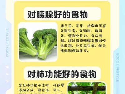 三个月大的金毛宝宝的饮食要求（小金毛不能吃什么及合适的食物推荐）