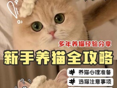 新手铲屎官购买龙猫注意事项（养龙猫需要的必备用品及关键注意事项）