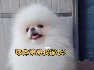 博美三针疫苗接种的时间及注意事项（养宠爱犬，保护它们免受疾病侵害）