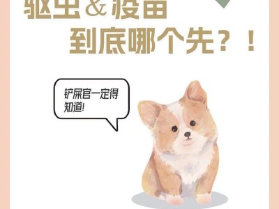 深入了解狗狗疫苗2联的重要性（为狗狗健康加护）