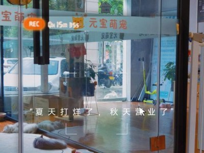 宠物店开业指南——从零开始打造你的梦想店铺（初心者必看！掌握这些关键步骤，让你的宠物店早日盈利）