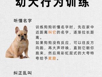 科学有效的牧羊犬训练方法（以奖励与惩罚为基础的训练策略）