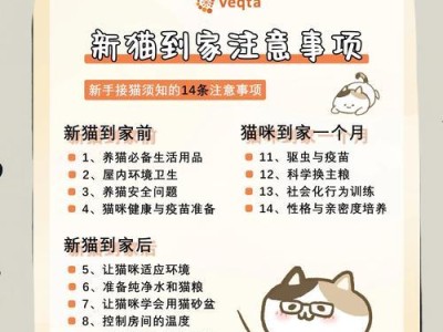 如何训练刚养的小猫不再到处乱跑（培养小猫良好的行为习惯，让它与你和谐相处）