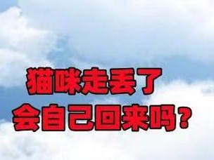 猫咪走失多久才能找回？（探讨猫咪走失的时间与找回的关系）