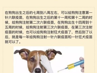 狗狗的怀孕期及产仔周期（了解狗狗的生育过程，宝宝就在她身上成长）