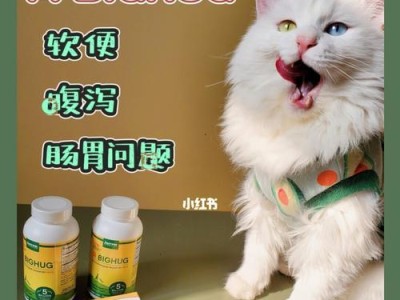 猫咪腹泻呕吐的治疗方法（选择正确的药物是关键）