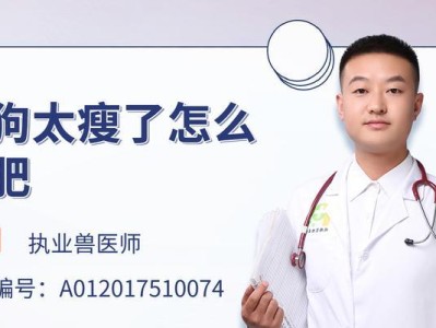 如何帮助狗狗增肥？（15种增肥小技巧为你分享）