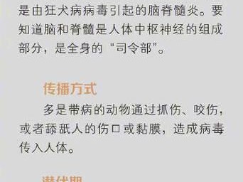 保护狗狗免受传染疾病的攻略（了解常见的狗狗传染疾病及其预防疫苗）