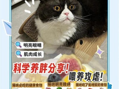 猫咪的饮食必备——了解适合猫咪的食物有哪些（了解猫咪的食物需求，给它们提供全面均衡的饮食）