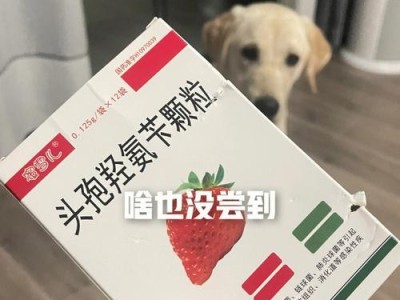 被狗咬伤后，应该吃什么好？（了解被狗咬伤的饮食护理，让伤口更快愈合）