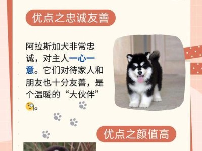 阿拉斯加犬（探索阿拉斯加犬的多元品种及其特点）