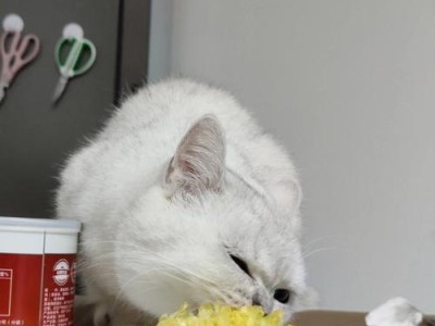 玉米是哪些动物的最爱？（揭秘玉米中的美食圈）