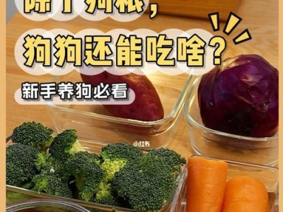 两个月大的狗狗的饮食需求（了解幼犬饮食，给你的小狗最佳营养）