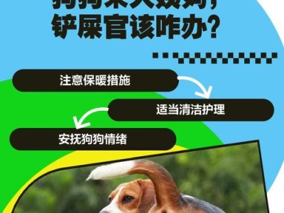 狗狗生完小狗后多久来大姨妈（了解狗狗产后生理周期及护理常识）