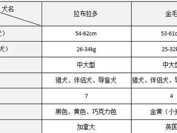 夏天到了，拉布拉多的合适喂食量是多少？（为您的爱宠制定一个健康的夏季饮食计划）