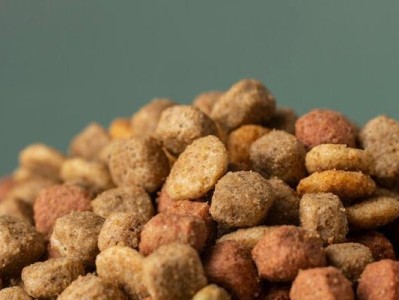 选择适合比熊成犬的狗粮，让它们健康快乐成长（了解比熊成犬的饮食需求，选择合适的狗粮品牌）