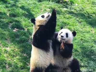 庆祝大事件的喂庆大（探索喂庆大的历史与传统）