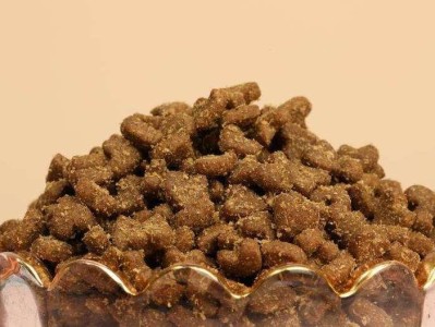 小猫的理想食物（了解小猫的饮食需求，保持它们的健康成长）