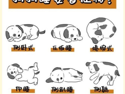 让你的狗狗活泼无比的秘诀（培养狗狗活泼性格的方法与技巧）