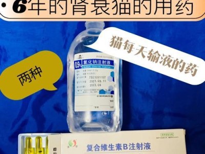 猫咪消炎小知识（选择适合猫咪的消炎药物，守护它们的健康）