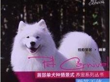 以微笑的天使——一只令人心旷神怡的狗（用微笑传递无尽的温暖与快乐）