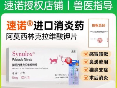 给狗用的消炎药有哪些？（了解适用于狗的消炎药品，保护宠物健康）