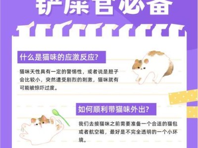 家养猫的卫生之道（了解猫咪的生活习性，打造清洁宜居的猫咪天堂）