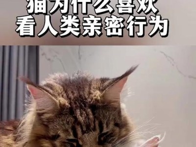 探寻猫咪喜欢坐在人身上的原因（解析与猫咪亲密接触的心理和行为动机）
