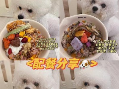 40天的比熊喝什么？（为你的比熊提供健康饮食的40天喝品指南）