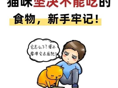 狗狗牙结石