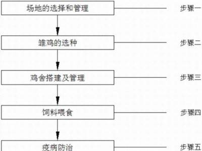 洛氏角吊的饲养方法（以宠物为主，轻松养活小清新）