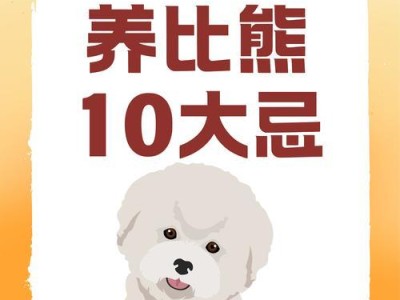 解决比熊臭味问题的有效方法（比熊怎样才能不臭——从饮食、洗澡到日常护理，全面解析）